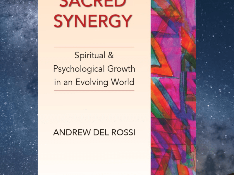 SACRED SYNERGY: THE&nbsp;BOOK